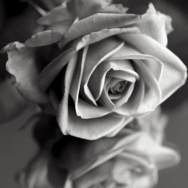 funeral-pricelist