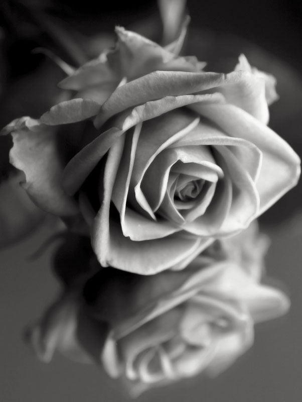 funeral-pricelist